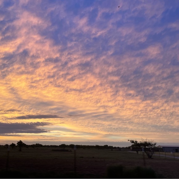 🎉🍂11/24 Co-Hosting my 37th Posh Party Best in Big, Tall & Plus!!!🎉🍂 - Picture 13 of 15